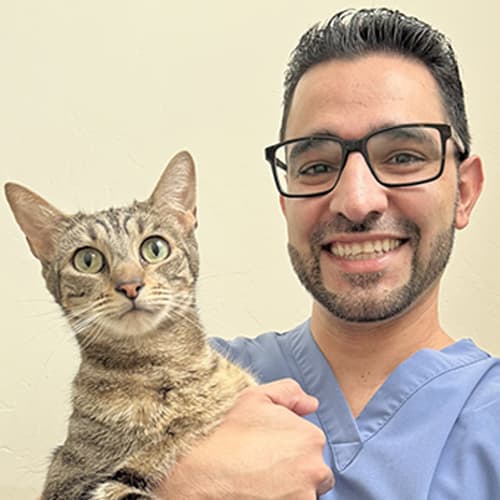 Dr. Saman Partow Navid, Cortaro Farms Pet Hospital Veterinarian